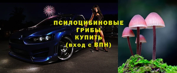 сатива Балахна