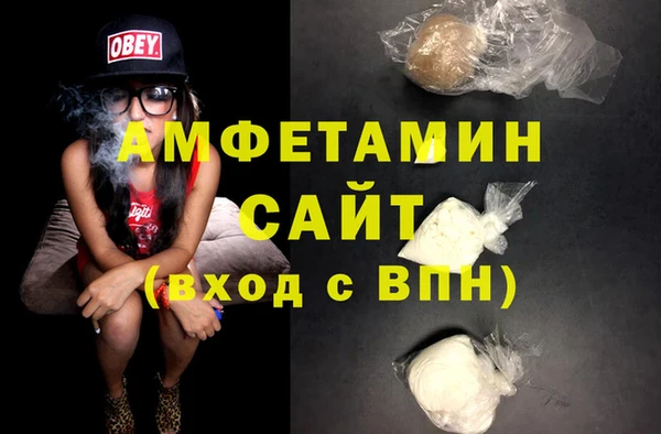сатива Балахна