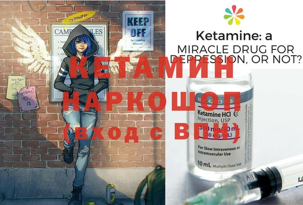 сатива Балахна